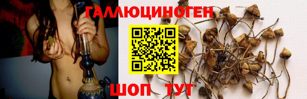 Галлюциногенные грибы мицелий Дмитров